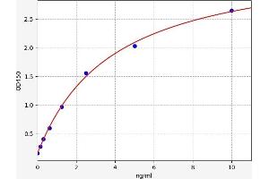 PPP1R9B ELISA 试剂盒