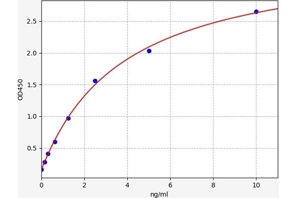 PPP1R9B ELISA 试剂盒