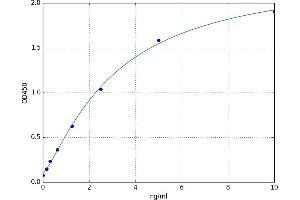 A typical standard curve