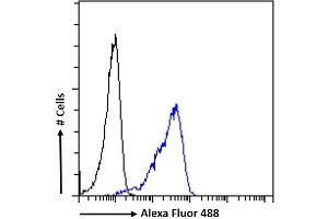 (ABIN571248) Flow cytometric analysis of paraformaldehyde fixed Jurkat cells (blue line), permeabilized with 0. (Septin 4 抗体  (AA 425-435))