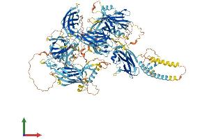 Protein Structure (PS) image for Nephronophthisis 4 (NPHP4) (AA 1-1426) protein (His tag) (ABIN7554794)