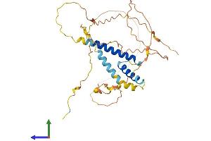 Protein Structure (PS) image for Spermatogenesis and Oogenesis Specific Basic Helix-Loop-Helix 1 (SOHLH1) (AA 1-328) protein (His tag) (ABIN7546294)