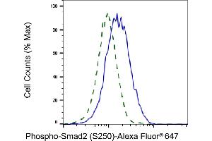 Validation of Smad2 knockdown using flow cytometry. (Recombinant SMAD2 抗体  (pSer250))