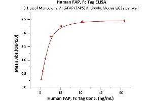 ELISA image for Fibroblast Activation Protein, alpha (FAP) (AA 26-760) (Active) protein (Fc Tag) (ABIN7013469)