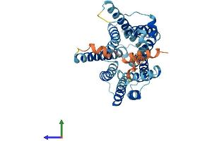 AlphaFold protein structure predicition of Human Recombinant SLC35C1 Protein, UniprotID Q96A29 (SLC35C1 Protein (AA 1-364) (His tag))