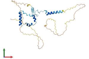 Protein Structure (PS) image for SAP30 Binding Protein (SAP30BP) (AA 1-308) protein (His tag) (ABIN7556870)