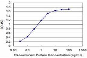 Detection limit for recombinant GST tagged KCNK10 is approximately 0. (KCNK10 抗体  (AA 439-538))