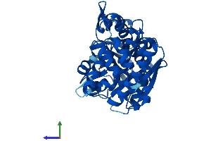 Protein Structure (PS) image for Glycerol-3-Phosphate Dehydrogenase 1 (Soluble) (GPD1) (AA 1-349) protein (His tag) (ABIN7562862)