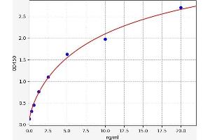 Tenascin C (TNC) ELISA Kit