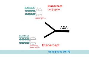 Image no. 2 for Etanercept Antibody ELISA Kit (ABIN2862659) (Etanercept Antibody ELISA 试剂盒)
