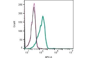 Cell surface detection of TRPV3 by indirect flow cytometry in live intact human Jurkat T-cell leukemia cell line: + goat-anti-rabbit-APC.