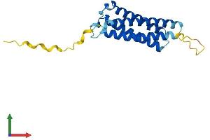 Protein Structure (PS) image for Mal, T Cell Differentiation Protein 2 (MAL2) (AA 1-175) protein (His tag) (ABIN7558666)
