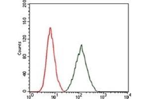 Flow Cytometry (FACS) image for anti-RAP1A, Member of RAS Oncogene Family (RAP1A) antibody (ABIN1108827) (RAP1A 抗体)