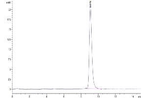 Size-exclusion chromatography-High Pressure Liquid Chromatography (SEC-HPLC) image for Anthrax Toxin Receptor 2 (ANTXR2) (AA 34-318) protein (His tag) (ABIN7273841)