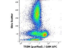 Flow cytometry intracellular staining pattern of human peripheral whole blood using anti-TRIM (TRIM-04) purified antibody (concentration in sample 1 μg/mL, GAM APC).