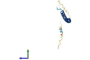 Protein Structure (PS) image for Chromosome 4 Open Reading Fram 46 (C4orf46) (AA 1-113) protein (His tag) (ABIN7552989)