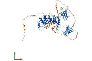 Protein Structure (PS) image for CAP-GLY Domain Containing Linker Protein 3 (CLIP3) (AA 1-547) protein (His tag) (ABIN7562072)