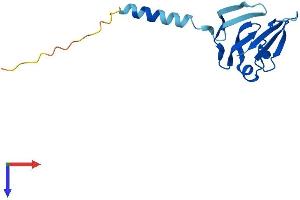 AlphaFold protein structure predicition of Human Recombinant TAFA5 Protein, UniprotID Q7Z5A7