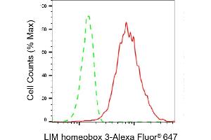 anti-LIM Homeobox 3 (LHX3) antibody