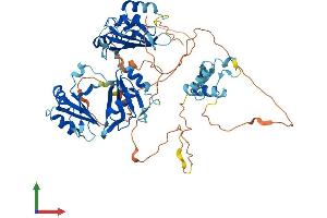 Protein Structure (PS) image for APOBEC1 Complementation Factor (A1CF) (AA 1-595) protein (His tag) (ABIN7557577)