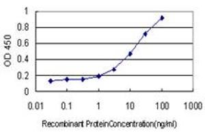 Detection limit for recombinant GST tagged TOP3B is approximately 1ng/ml as a capture antibody. (TOP3B 抗体  (AA 1-862))