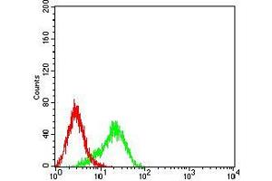 Flow cytometric analysis of K562 cells using BCL2L2 mouse mAb (green) and negative control (red). (BCL2L2 抗体  (AA 6-118))