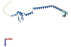 GADD45GIP1 Protein (AA 1-222) (His tag)