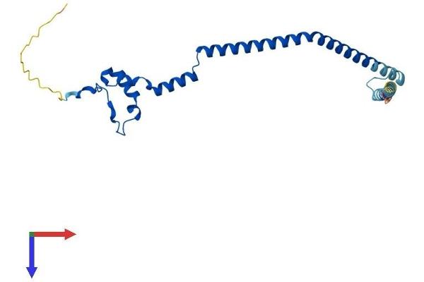 GADD45GIP1 Protein (AA 1-222) (His tag)