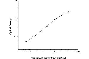 Typical standard curve (LOX ELISA 试剂盒)