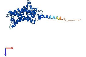AlphaFold protein structure predicition of Mouse Recombinant Sc5d Protein, UniprotID O88822 (SC5DL Protein (AA 1-299) (His tag))