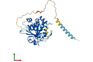 Protein Structure (PS) image for ST3 beta-Galactoside alpha-2,3-Sialyltransferase 2 (ST3GAL2) (AA 1-350) protein (His tag) (ABIN7556965)