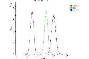 Flow Cytometry analysis of A549 cells using anti-ROBO1 antibody (ABIN6719615).