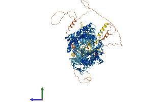 Protein Structure (PS) image for Cystic Fibrosis Transmembrane Conductance Regulator (ATP-Binding Cassette Sub-Family C, Member 7) (CFTR) (AA 1-1480) protein (His tag) (ABIN7553181)