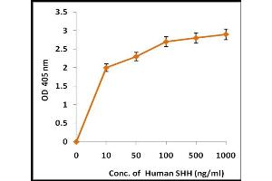 Activity Assay (AcA) image for Sonic Hedgehog (SHH) (Active) protein (ABIN5509475) (Sonic Hedgehog Protein (SHH))