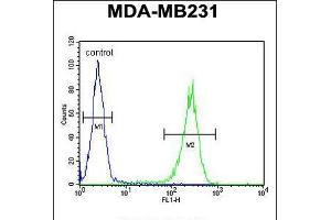 Flow cytometric analysis of MDA-MB231 cells (right histogram) compared to a negative control cell (left histogram). (RAB11FIP2 抗体  (AA 345-374))
