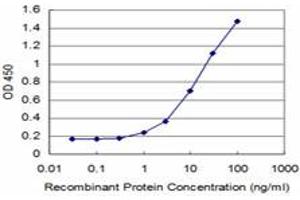Detection limit for recombinant GST tagged MEF2A is approximately 1ng/ml as a capture antibody. (MEF2A 抗体  (AA 71-170))