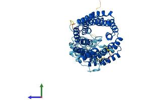 AlphaFold protein structure predicition of Mouse Recombinant Ttc8 Protein, UniprotID Q8VD72