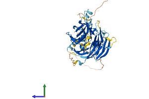 AlphaFold protein structure predicition of Human Recombinant DCAF12L2 Protein, UniprotID Q5VW00