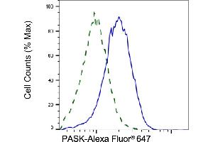 Validation of PASK knockdown using flow cytometry. (PASK 抗体)