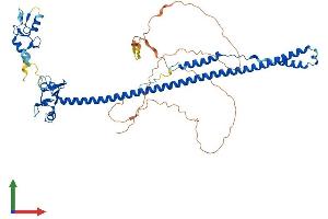 Protein Structure (PS) image for Tripartite Motif Containing 8 (TRIM8) (AA 1-551) protein (His tag) (ABIN7560461)