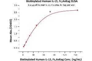 Immobilized Human IL-15 R alpha, Fc Tag (ABIN6731259,ABIN6809889) at 2 μg/mL (100 μL/well) can bind Biotinylated Human IL-15, Fc,Avitag (ABIN6731260,ABIN6809922) with a linear range of 2-78 ng/mL (QC tested).