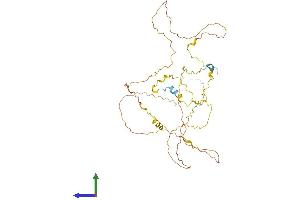Protein Structure (PS) image for Family with Sequence Similarity 53, Member A (Fam53a) (AA 1-398) protein (His tag) (ABIN7547592)