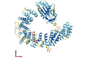 AlphaFold protein structure predicition of Mouse Recombinant Ap5b1 Protein, UniprotID Q3TAP4