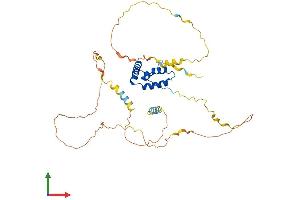 Protein Structure (PS) image for SRY (Sex Determining Region Y)-Box 18 (SOX18) (AA 1-384) protein (His tag) (ABIN7546259)