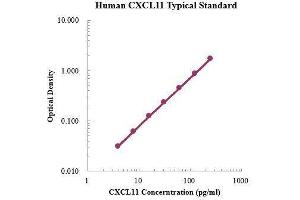 ELISA image for Chemokine (C-X-C Motif) Ligand 11 (CXCL11) ELISA Kit (ABIN3198418)