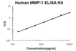 Human MMP-1 PicoKine ELISA Kit standard curve