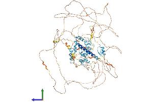 Protein Structure (PS) image for Sal-Like 2 (SALL2) (AA 1-1004) protein (His tag) (ABIN7565143)