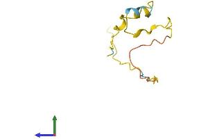 Protein Structure (PS) image for Family with Sequence Similarity 229, Member B (FAM229B) (AA 1-80) protein (Fc Tag) (ABIN7559294)