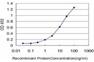 Detection limit for recombinant GST tagged CSE1L is approximately 0. (Exportin 2 抗体  (AA 872-971))
