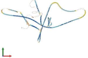 Protein Structure (PS) image for ELKS/RAB6-Interacting/CAST Family Member 1 (ERC1) (AA 1-1120) protein (His tag) (ABIN7564899)